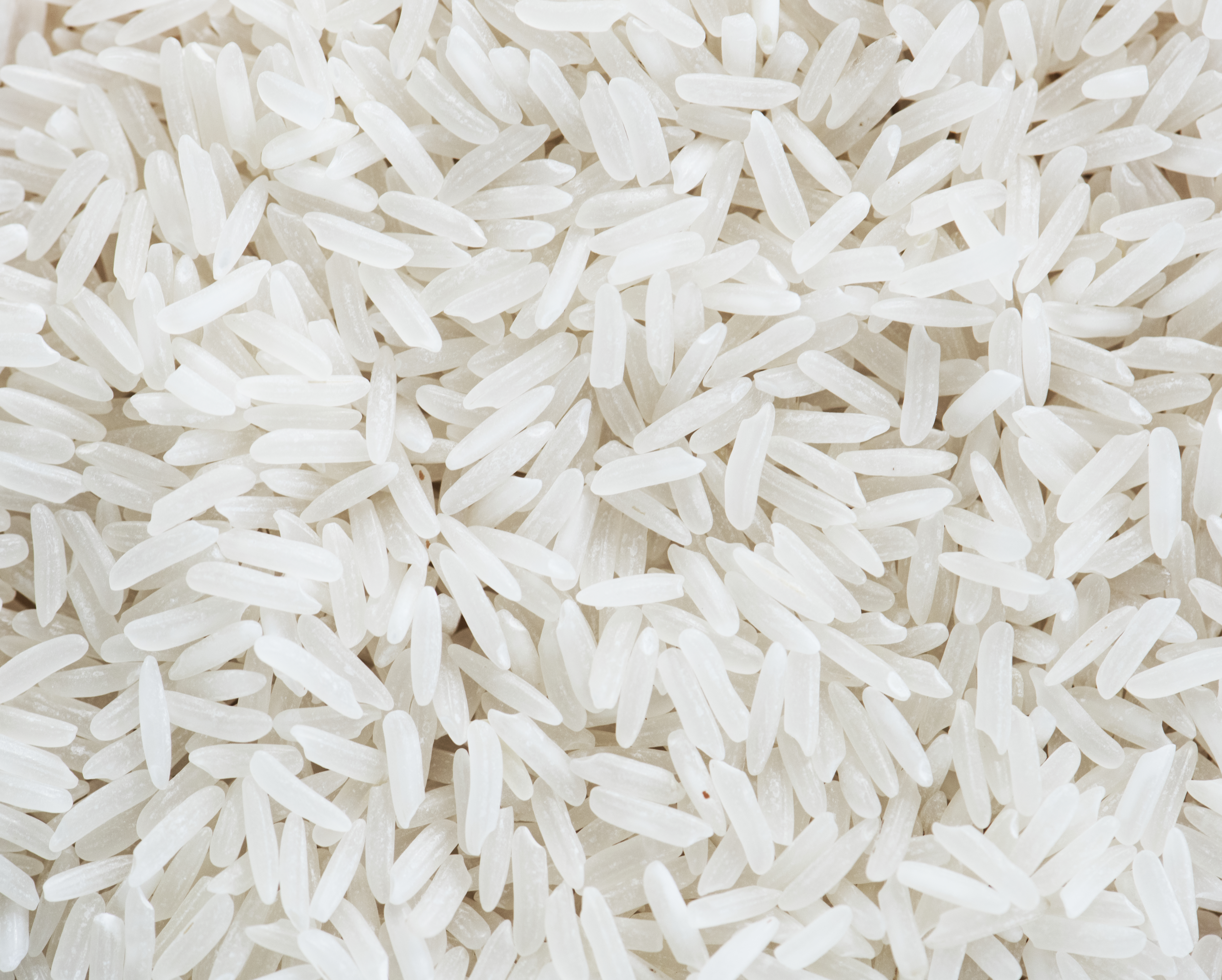 Premium Quality Rice